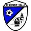 SG Borsch III